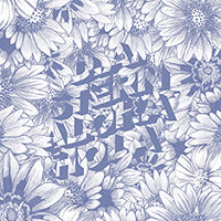 D.A. Stern - Aloha Hola LP/CD